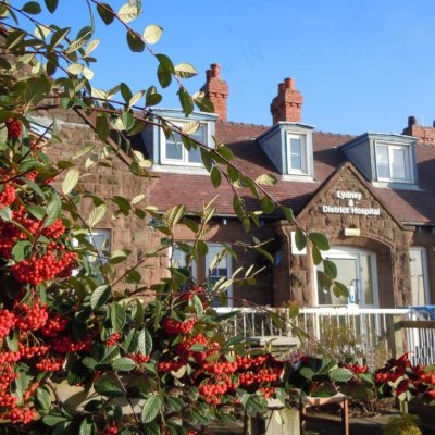 Copy of Hospital berries in November#
